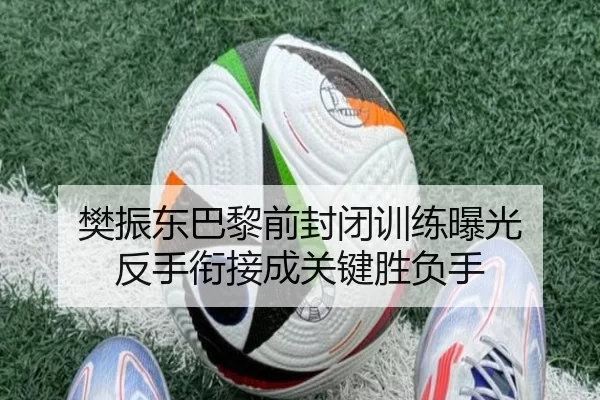 樊振东巴黎前封闭训练曝光 反手衔接成关键胜负手